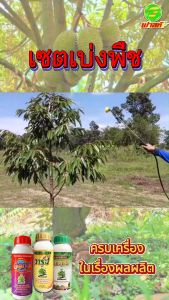 สารธรรมชาติกระตุ้นการแบ่งเซลล์ ต้นพืชแข็งแรง กระตุ้นการแตกราก พืชเขียวทน เขียวนาน ชุดเบ่งพืช2ชุด เร่งเปิดตาใบ อัตราการงอกสูง พืชสมบูรณ์แข็งแรง