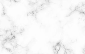 Herbishh Hair Care Permanent Color Dye Shampoo 1 pc - 30ml - Dark Brown