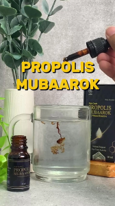 Propolis Mubarook Atasi Masalah Sesak Nafas Asma Batuk Sinusitis Sariawan TBC Asli 100% Original