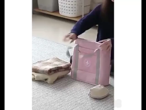 Tas Travel Logo Pesawat