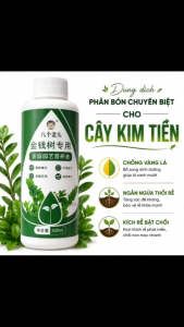 Dung Dịch Đặc Biệt Chuyên Cho Cây Kim Tiền – Cứu Cây Vàng Lá Còi Cọc Bật Chồi Nhanh Nuôi Lá Bóng To Dày - Phân Bón Cây Cảnh Trồng Chậu