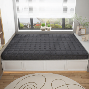 NUOMU | Natural Coir Firm Mattress For Back Support 10cm
