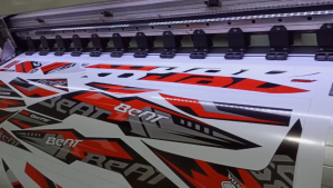 Bajaj CT100 Stock (Sticker Decals)