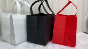 Ultrasonic Non Woven Bag Shopping Tote Bag Wedding Gift Pack Birthday Beg Non-Woven Ultrasonik Hadiah Kahwin