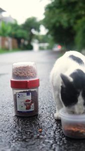 LocknLock Two Way Container Wadah Toples Penyimpanan Makanan Dua Sisi 760+310ml LLS223