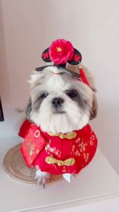 ชุดตรุษจีนสุนัขและแมว ชุดแฟนซีจีนหมาแมว ผ้าคลุมจีน ปลอกคอจีน หมวกตรุษจีน ลายมังกร ฮ่องเต้ ฮองเฮา จักรพรรดิ องค์หญิง หมวกหมา หมวกแมว