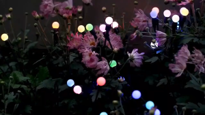 【Flash sale 】Nova light Solar Firefly Lights Garden LED light Raya Lampu Waterproof Swing Light solar christmas light outdoor christmas lights Firefly Firework for Garden Lawn Yard Path Decor Ground Plug Lamp COD