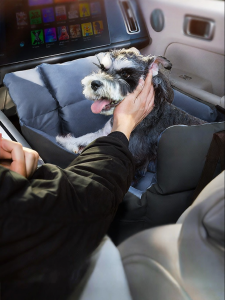 QUEES | Pet Car Cushion Safety Seat
