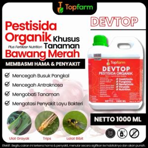 Pestisida Ulat Bawang Merah / Pestisida Bawang Merah / Pestisida Untuk Bawang Merah / Obat Bawang Merah Penguat Daun / Obat Bawang Merah Ulat / Obat Hama Penyakit Bawang Merah