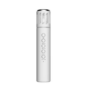 2 in 1 Karaoke Wireless Microphone Handheld Singing Mic With Bluetooth Speakers Portable Condenser for Phone Car Support TF Card