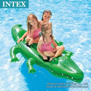 Dual Use Ride-On Float  Swimming Ring