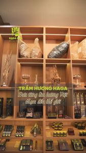 Trầm thanh HAGA Cao cấp/Đặc biệt/Thượng hạng thơm ngọt trầm hương thư giãn thoải mái - 16cm 44 cây