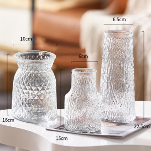 Nordic Style Glass Flower Vase Fresh Roses And Lilies Arrangement Decorative Pieces for Living Room Transparent Design High End Feeling