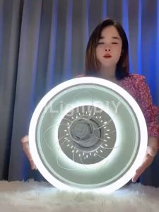 <2 IN 1> MODERN CEILING FAN LIGHT 360 OSCILLATION DC MOTOR 6 SPEED REMOTE CONTROL FAN WITH 3CCT DIMMABLE LED CEILING LIGHT