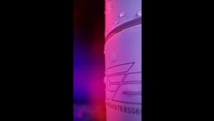 [Clearance sale] Exquisite Essence Hotel Scents Compact Car Diffusers perfume air freshener BMW