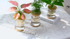 【COD】Hydroponic Flower Pot Imitation Glass Bottle With Silicone Cover Durable Pet Material Simple And Transparent Decorative Plant Vase Suitable For Office And Indoor Decoration Of Hydroponic Plants