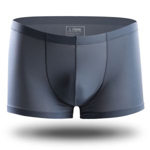 Cool Silk Ultra-Thin Mens Underwear