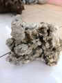 batu karang laut / 1 kg. 