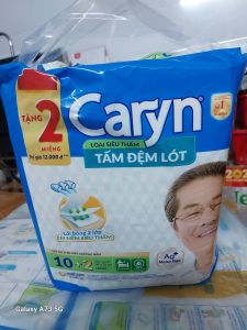 Tầm lót chóng tràn CARYN 10 miếng size 42x72cm