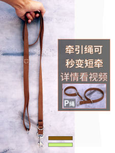 Durable Nylon Dog Leash for Medium to Large Breeds Shepherds Golden Retrievers Malamutes Labrador Retriever Short P Chain