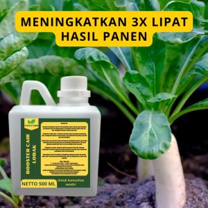 Pupuk Pelebat Lobak: Meningkatkan Kualitas dan Hasil Panen Tanaman Lobak