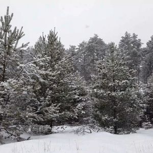 HotHands TOE | FEET | HAND Warmers: Adhesive Heat Packs for Cold Weather