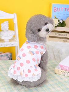 váy đầm xoè hình gấu xanh dành cho chó mèo - T3 PETS SHOP