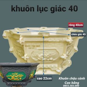 khuôn đúc chậu cảnh lục giác 40 ( khuôn chậu ABS có lòng trong)
