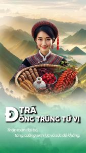 Trà Đông Trùng Hạ Thảo Tứ Vị Táo Đỏ Sunbeleaf - Bồi Bổ Cơ Thể Và Trí Não Tăng Cường Sinh Lực - Hộp 10 Đến 20 Gói