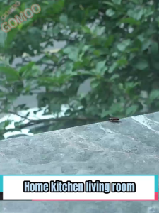 👍 Buy 2 free 1👍 Japan Cockroach Gel Bait Non-toxic Repellent Cockcroach killer Poison Cockroach Trap