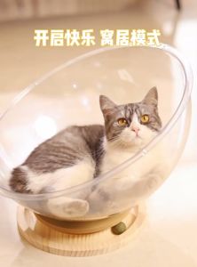 Cat Space 2 IN 1 Sleep And Play Capsule Clear Space Cat Bed Wood Cat House Play Bed Furniture Bed