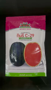 แตงโม กินรี C29  [ ขนาด 40 กรัม ] หมดอายุ 11/2570  ตะวันต้นกล้า ลอตใหม่ งอกดี ลูกใหญ่ ทรงกลมรี หวานกรอบ เนื้อแน่น สีแดง ขายง่าย น้ำหนัก 4-6 กิโลกรัม npkplant