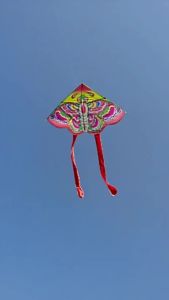 Nexlent Colorful Butterfly Kite Triangular Rainbow Kites Children Outdoor Toy with Free Kite String