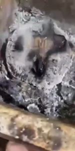 Kayu Gaharu Stik Kualitas Super Grade A Aquilaria Malaccensis Original Kalimantan 10 Gram 100% Natural