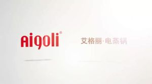 Electric Steamer For Food Food Steamer Cooker Electric Food Steamers Rectangular Transparent Double-Layer Steamer