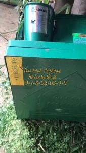 Máy xay cỏ cây ngô ngọn mía 11kw