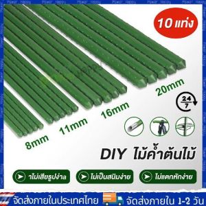 【COD ร้านไทย จัดส่งภายใน 24 ชั่วโมง】เสาไม้เลื้อย 10แท่ง กระกางต้นไม้ ไม้ค้ำต้นไม้ ท่อเหล็กPE หลักไม้เลื้อย เสาต้นไม้ ยาว 60 - 180 ซม. หนา 8-20 มม. ไม้ค้ำยันต้นไม้ ค้างต้นไม้ ซุ้มต้นไม้