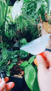 หัวพ่นยาฝาครอบ ฝาครอบหัวพ่นยา หัวพ่นยา (เกลียวนอก) สำหรับเครื่องพ่นยาไฟฟ้า - เครื่องพ่นยามือโยก