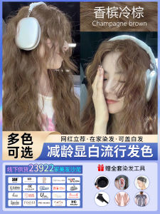 Champagne Cold Brown Hair Dye at Home Hair Dye Cream Filbert Gray Brown Black Brown Natural Plant Pure Women Bubble