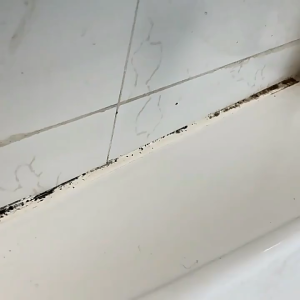 Mould Remover Gel Mould Mildew Remover Kitchen Toilet Cleaner Gel toilet cleaner Mold Mildew Removal