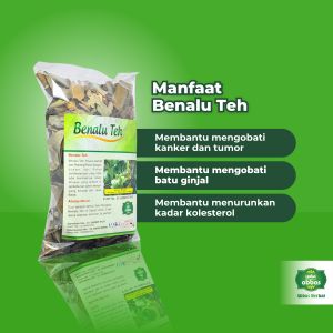 Jamu Herbal Tanaman Obat Benalu Teh Obat Penyakit Kanker