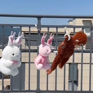 【SG Stock】12/18Pcs Windproof Plastic Laundry Clips with Hanging Rope Clothes Socks Towel Undergarments