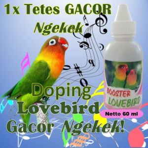 Vitamin lovebird ngekek panjang / Vitamin lovebird gacor konslet / Vitamin lovebird ternak / Vitamin lovebird gacor / Vitamin lovebird konslet / Vitamin lovebird spontan / Vitamin lovebird fighter / Vitamin lovebird untuk lovebird / Booster Lovebird 60 ml