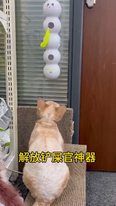 อุปกรณ์แมว แมวของเล่น อัตโนมัติแมว ของเล่นอัตโนมัติ ของเล่นกระตุ้น พร้อมหางเติมเงินที่เปลี่ยนได้