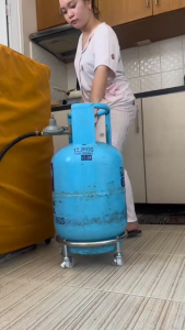 Moveable Rolling Tray Gas Tank Holder Bracket Metal Plant Basin Extra Thick Universal Wheel Brake - DailyDwell1