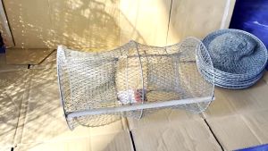 Combo 20 Bẫy Ếch Bẫy Cua Kiểu Mới Gấp Gọn Lại Được