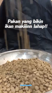 Pelet Pakan Ikan Predator Megami Sinking Tenggelam 500 Gram