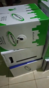 Kabel LAN Cat5e UTP 5 Meter Terpasang RJ45 Dan Plugboot