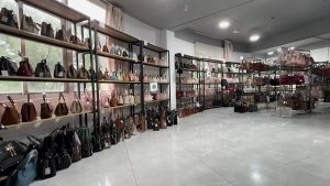 Túi xách nữ công sở sang trọng LILA TCO27
