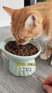 HAIRY MONSTER CAT KITTEN FREEZE DRIED NUTRITION CHICKEN CAT FOOD SQUAB(520G)毛怪兽猫咪幼猫成猫低敏生骨肉冻干营养健康猫粮鸡肉三文鱼乳鸽